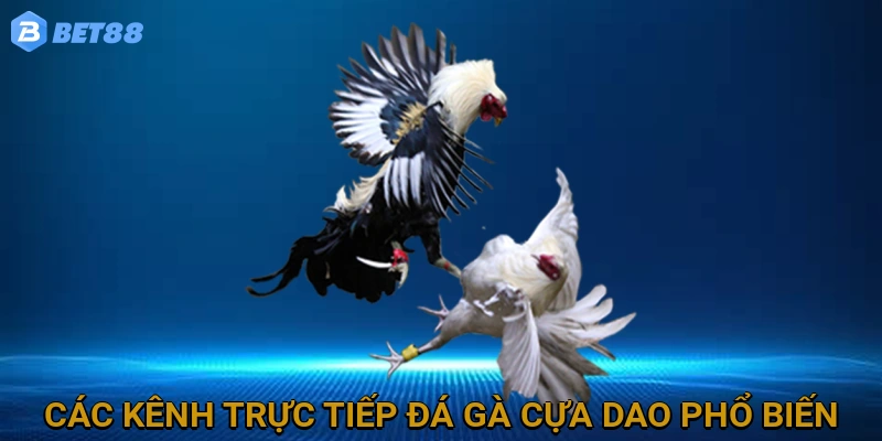 cac-kenh-truc-tiep-da-ga-cua-dao-pho-bien