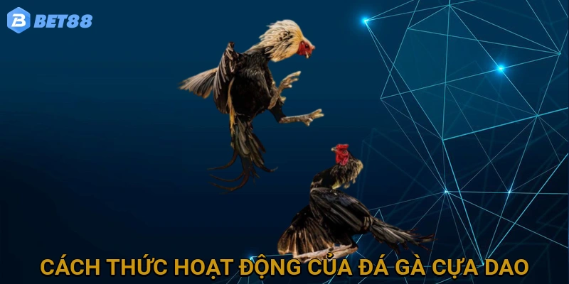 cach-thuc-hoat-dong-cua-da-ga-cua-dao