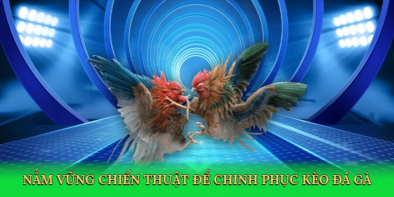 nam-vung-chien-thuat-de-chinh-phuc-keo-da-ga-4