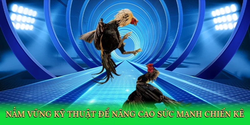 nam-vung-ky-thuat-de-nang-cao-suc-manh-chien-ke-4