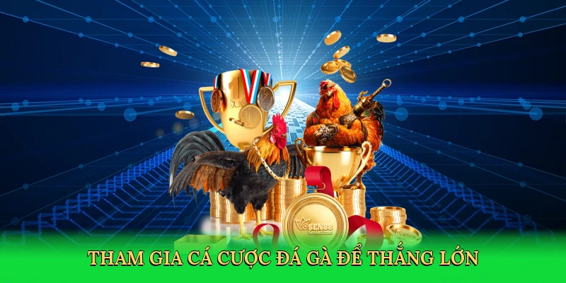 tham-gia-ca-cuoc-da-ga-de-thang-lon-3