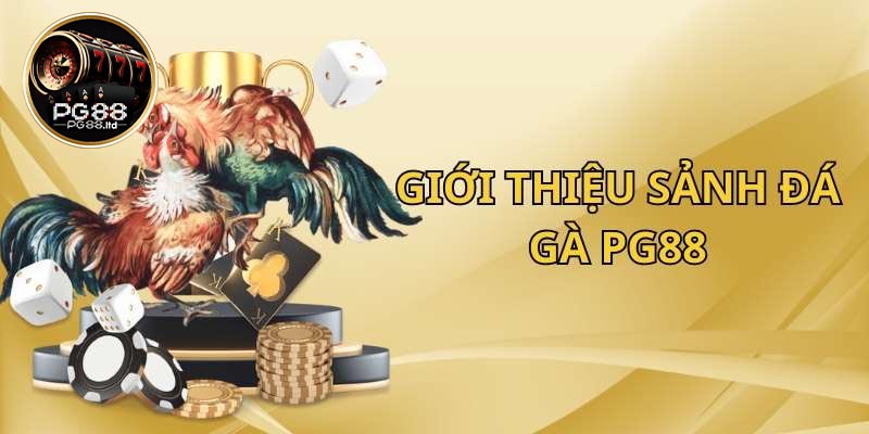 Tổng quan thông tin về chuyên mục đá gà PG88